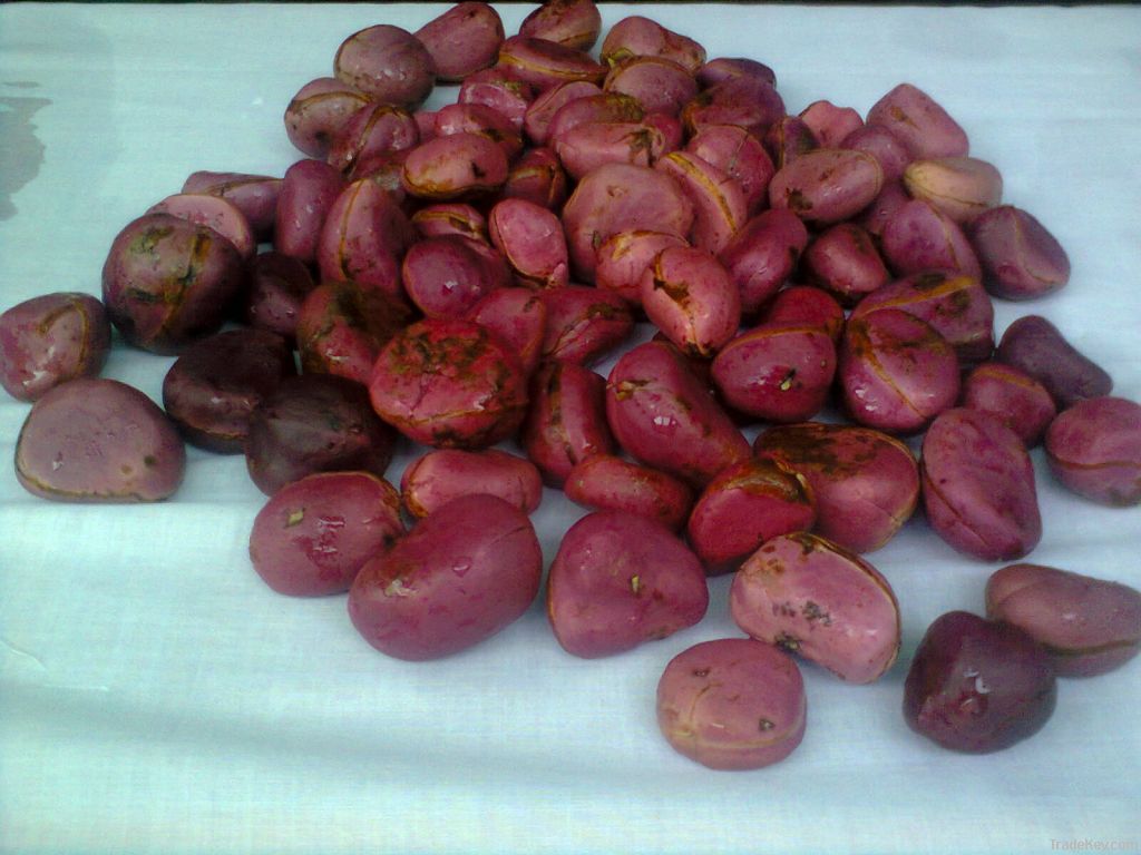 Kolanuts