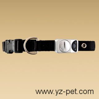 Pet Collar