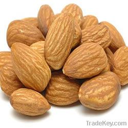 Almond Supplier | Almond Exporter | Almond Manufacturer| Almond Trader | Almond Buyer | Almond Importers | Import Almond