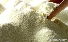 full cream milk powder