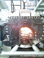 BRIQUETTE FIRED STEAM BOILER