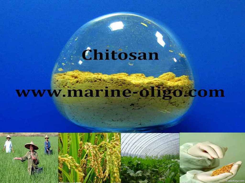 Algriculture Grade Chitosan