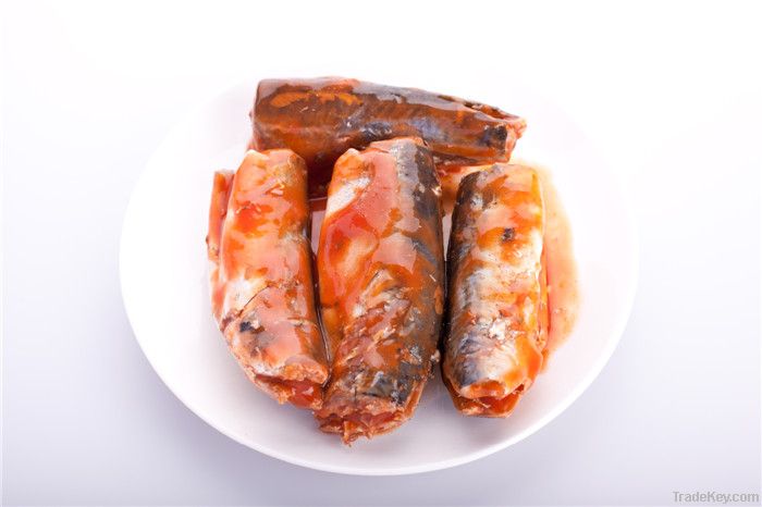 caned Mackerel in brine or tomato paste