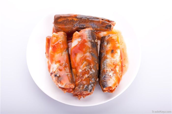 caned Mackerel in brine or tomato paste