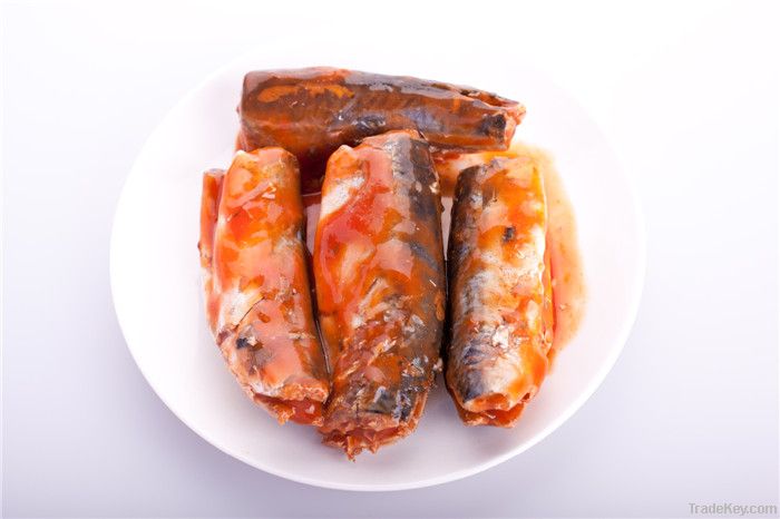 caned Mackerel in brine or tomato paste