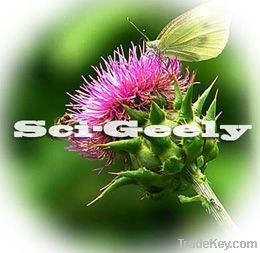 Milk thistle extract silymarin silybum marianum silibinin Milk Thistle