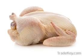 Export Whole Chicken Meat | Chicken Meat Suppliers | Poultry Meat Exporters | Chicken Pieces Traders | Processed Chicken Meat Buyers | Frozen Poultry Meat Wholesalers | Halal Chicken | Low Price Freeze Chicken Wings | Best Buy Chicken Parts | Buy Chicken 