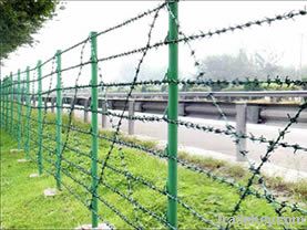 Wire Mesh Fence