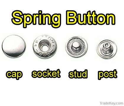 spring snap button