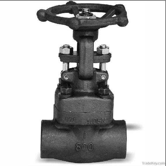 Forged Steel Gate Valves