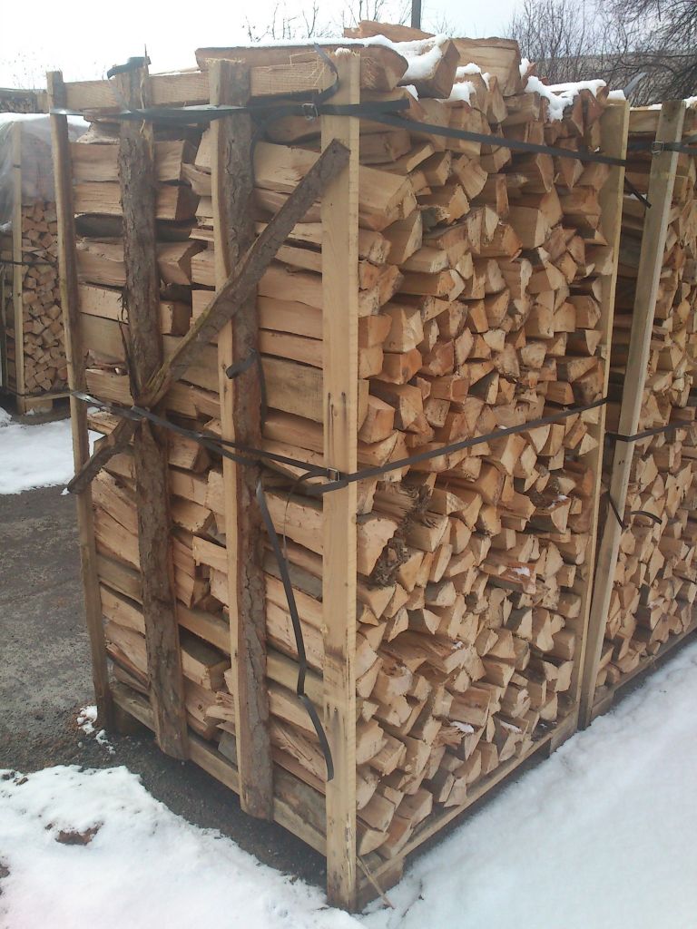 Fresh BEECH