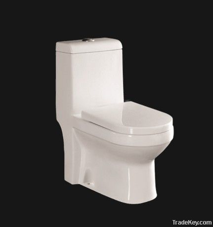 Washdown One-piece toilet