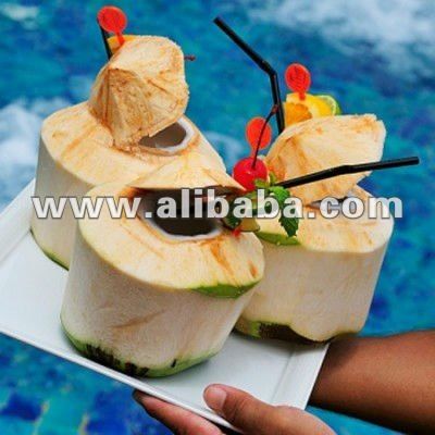 fresh young coconut importers,fresh young coconut buyers,fresh young coconut importer,buy fresh young coconut,fresh young coconut buyer,