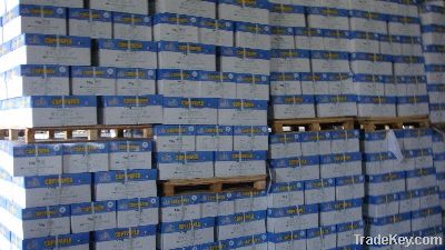 wholesale Copy paper A4 size 80gr