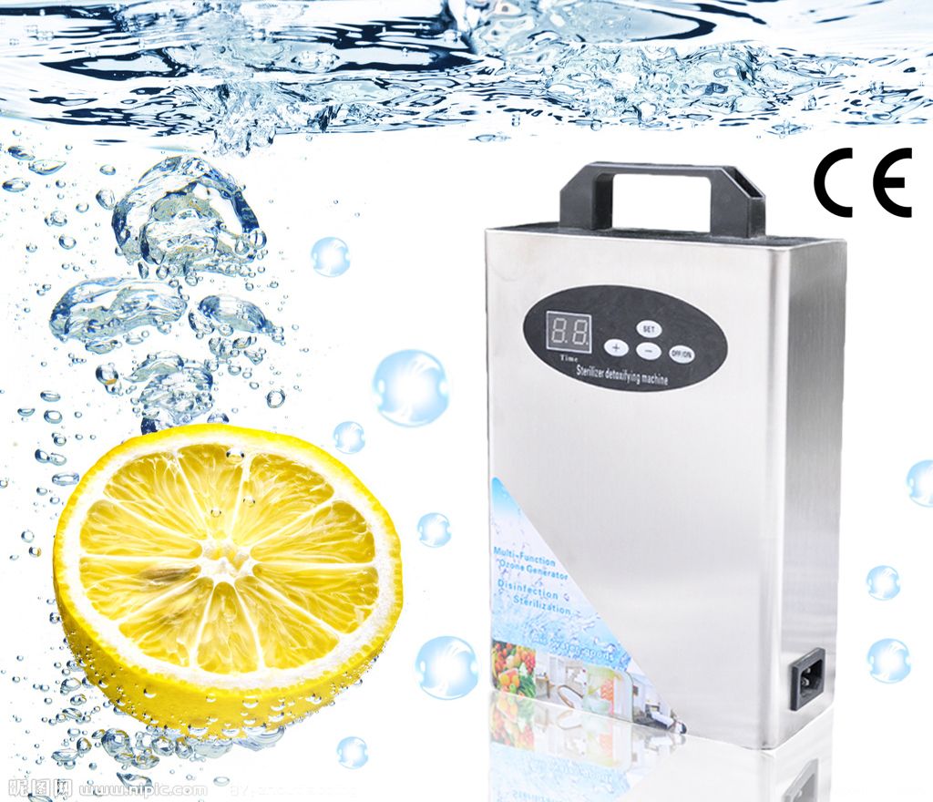 NEW Food Ozone Generator Water Air Sterilizer Ozonizer