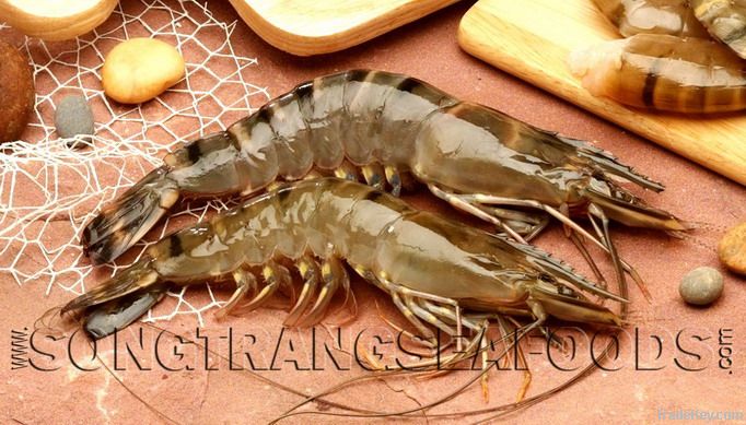 Black Tiger Shrimp