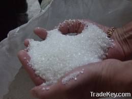 WHITE CRYSTAL CANE SUGAR