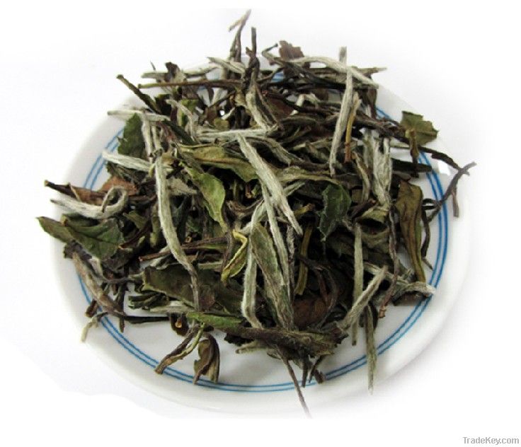 Chinese White Peony Tea