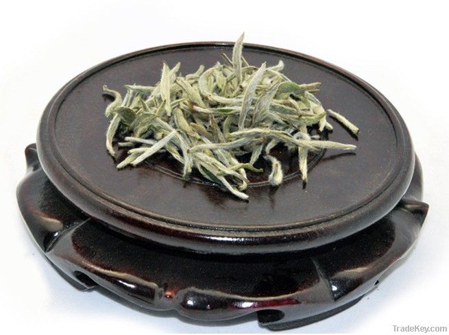 Organic Silver Needle Pekoe white tea