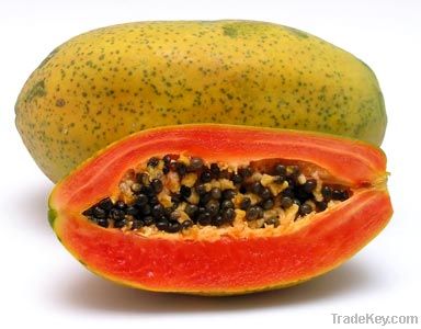 PAPAYA