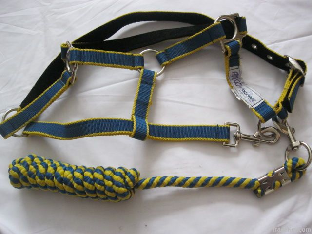 Harness