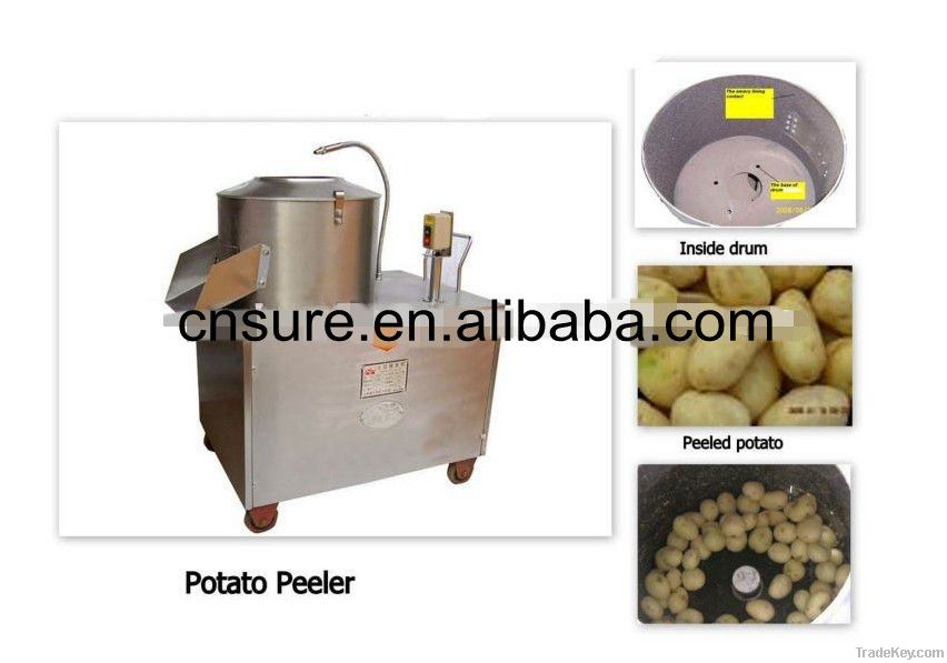 Potato Washing and Peeling Machine