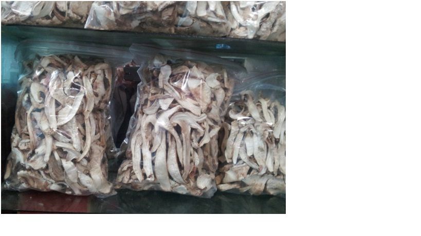 Top Quality Dried Tricholoma Matsutake