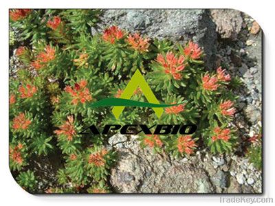 Rhodiola Rosea Extract