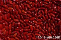 Export Coffee Beans | Coffee Bean Importer | Coffee Beans Buyer | Buy Coffee Beans | Coffee Bean Wholesaler | Coffee Bean Manufacturer | Best Coffee Bean Exporter | Low Price Coffee Beans | Best Quality Coffee Bean | Coffee Bean Supplier | Sell Coffee Bea