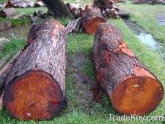 logs wood