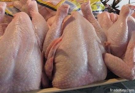 Halal Whole Frozen Chicken Parts &amp; Chicken Feets 