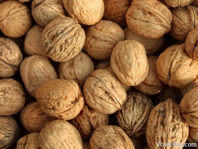 Walnuts | Peanuts | Cashew Nuts | Almond Nuts | Pistachios