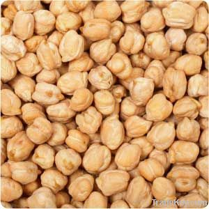 Chick Peas | White &amp;amp;amp; Red Kidney Beans | Black Kidney Beans