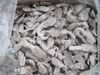 Frozen baby squid(Loligo Chinese)