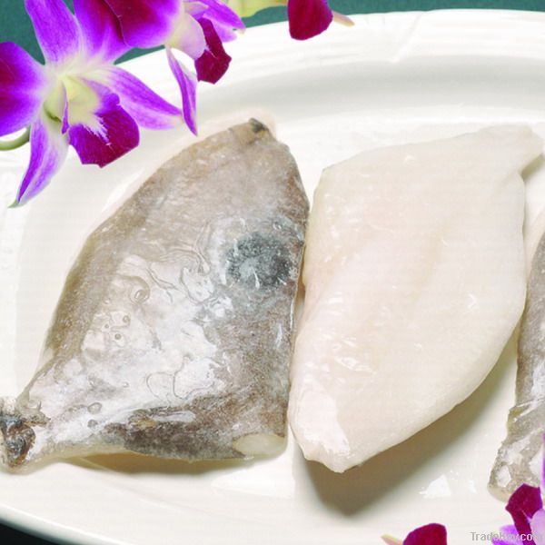 Frozen Fish John Dory fillet