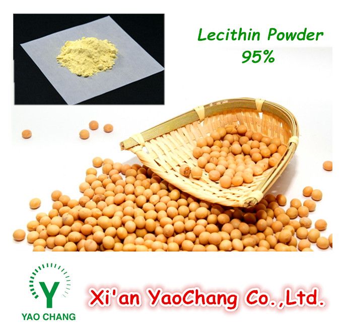 Soybean Lecithin Powder  95%, HPLC