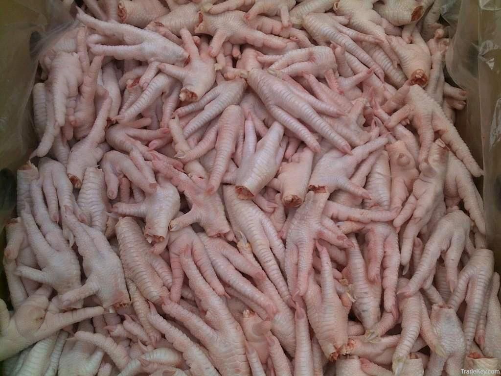  Export Chicken Paw | Chicken Feet Suppliers | Poultry Feet Exporters | Chicken Feets Traders | Processed Chicken Paw Buyers | Frozen Poultry Paw Wholesalers | Low Price Freeze Chicken Paw | Best Buy Chicken Paw | Buy Chicken Paw | Import Chicken Paw | Ch