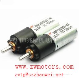 ZHAOWEI  ZWPD020020-36 DC Planetary reducer motor