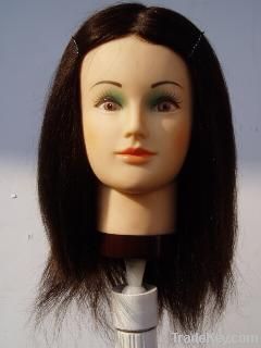 training head/mannequin head