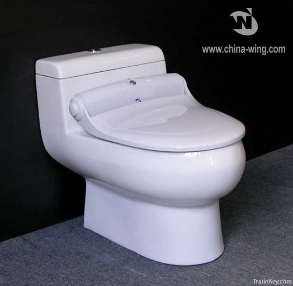 Electronic, Hygienic Toilet Seat