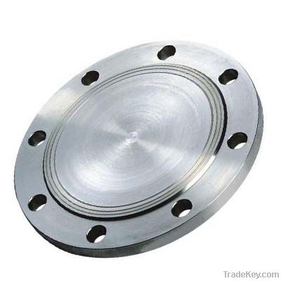 Forging Flange/China forging