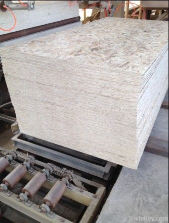 Oriented Strand Board