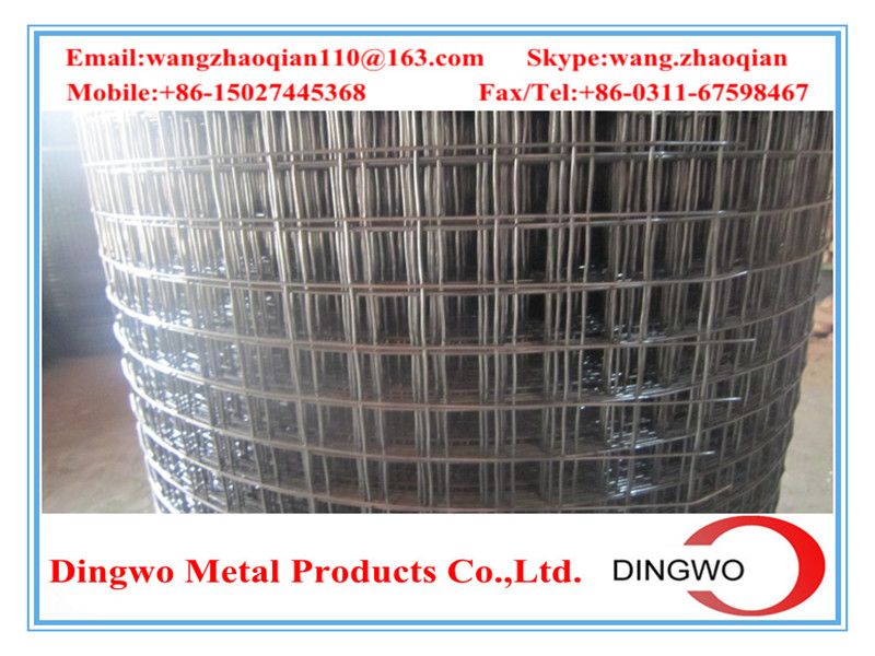 Welded Wire Mesh , weld mesh, welded mesh, galvanized welded wire mesh, stainless steel wire mesh, pvc coated welded wire mesh, wire mesh panles, welded wire mesh rolls