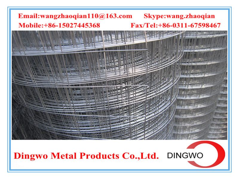 Welded Wire Mesh , weld mesh, welded mesh, galvanized welded wire mesh, stainless steel wire mesh, pvc coated welded wire mesh, wire mesh panles, welded wire mesh rolls