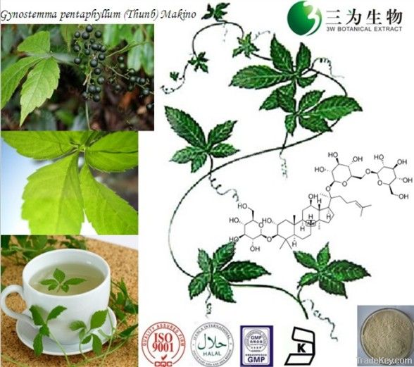 Gynostemma extract -- 80~98% Gypenoside --15588-68-8