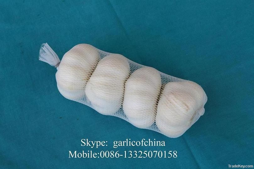 Chinese white fresh garlic