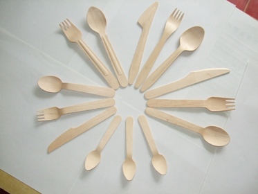 Wooden Disposable Cutlery