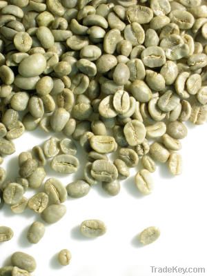 green coffee bean