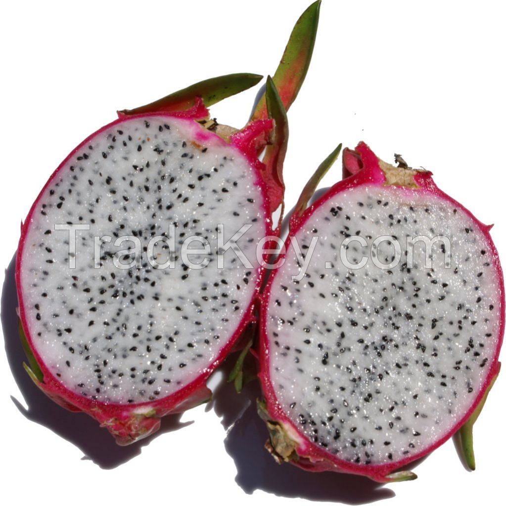 fresh dragon fruit