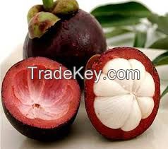 fresh mangosteen